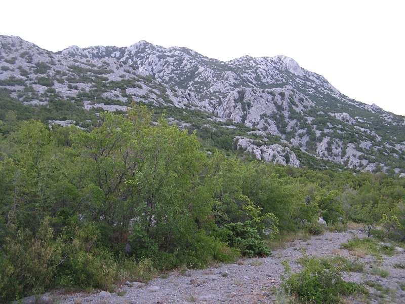 Severní Velebit